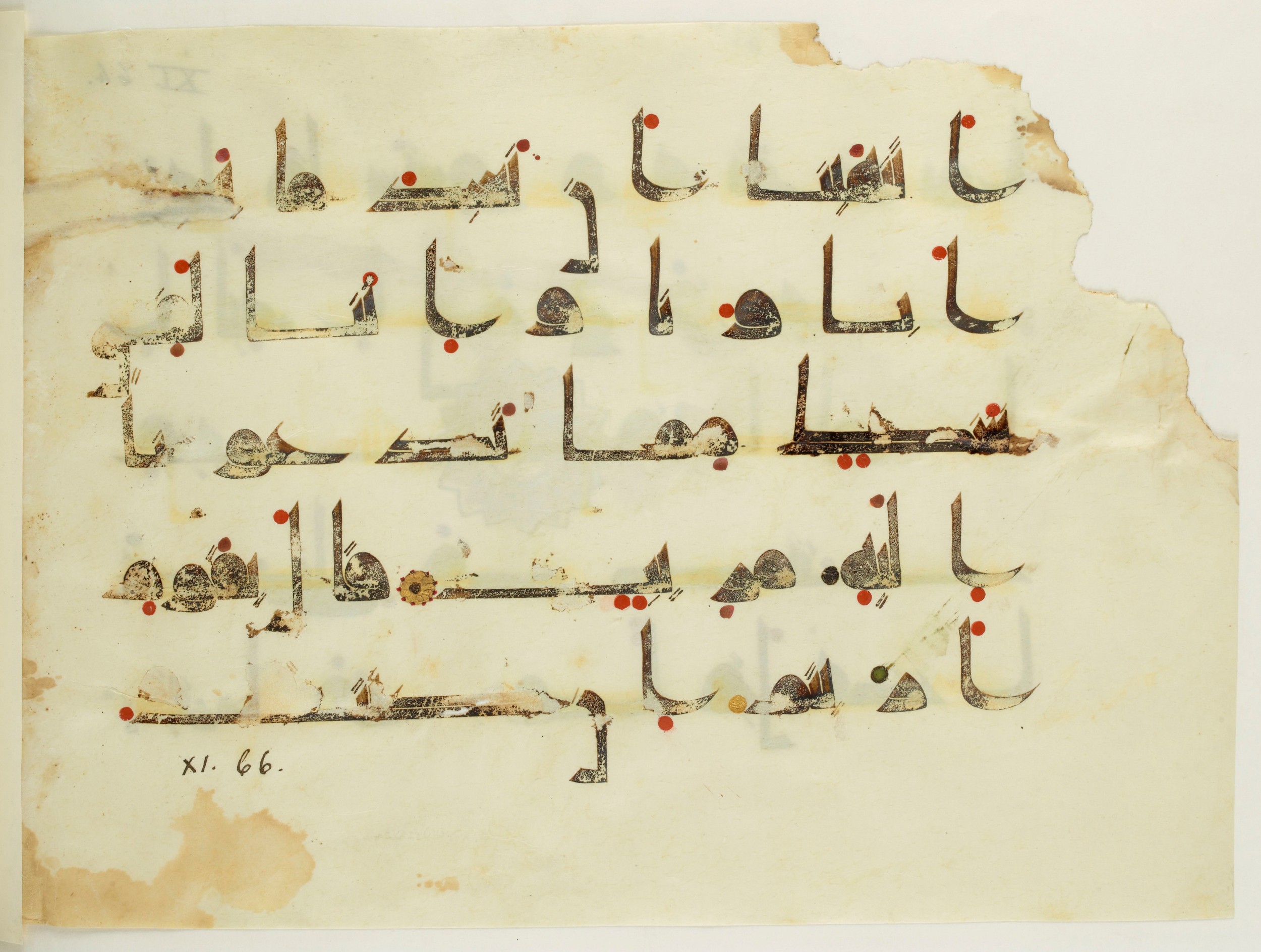 Paris, Bibliothèque nationale de France, Arabe 350 (a) (Scan 1), in Kūfī D.I script, showing Surah 11:63 from Mid 8th to Late 10th Century AD found in Fustat (Old Cairo), Egypt, currently housed at Bibliothèque nationale de France, Paris